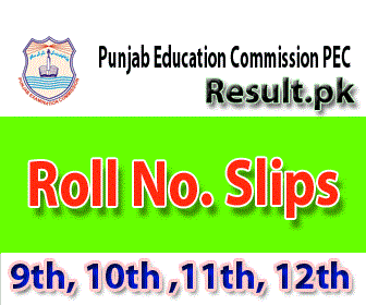 Punjab Education Commission Roll No Slips 2024 class 5th, 8th